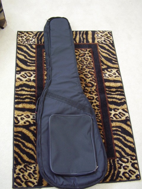 Galaxy Gig Bag